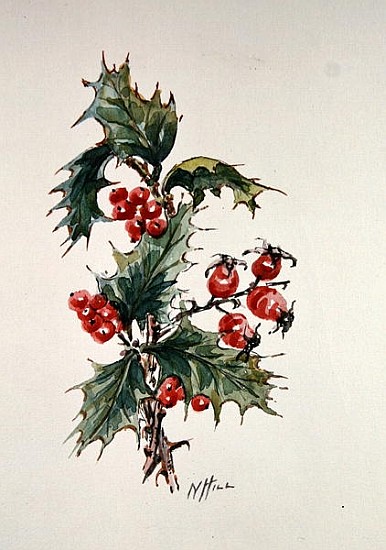 Holly and rosehips  van Nell  Hill