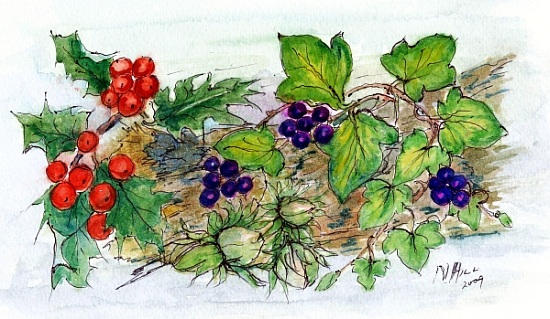 Log of Ivy, Holly and Hazelnuts van Nell  Hill