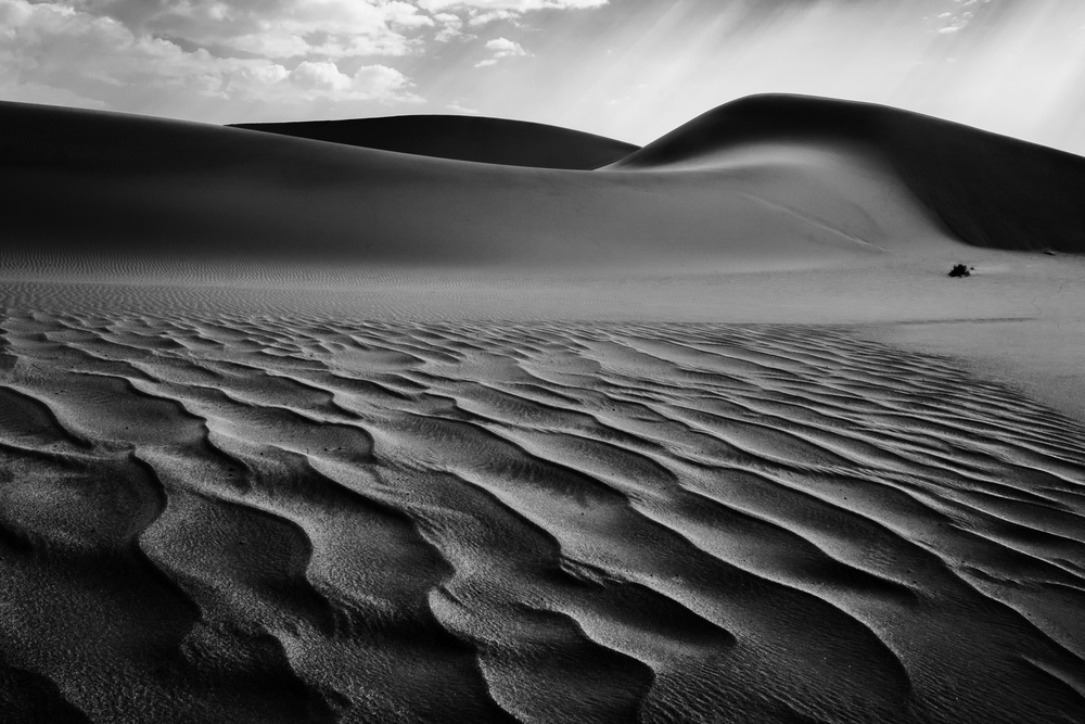 The Living Dunes, Namibia I van Neville Jones
