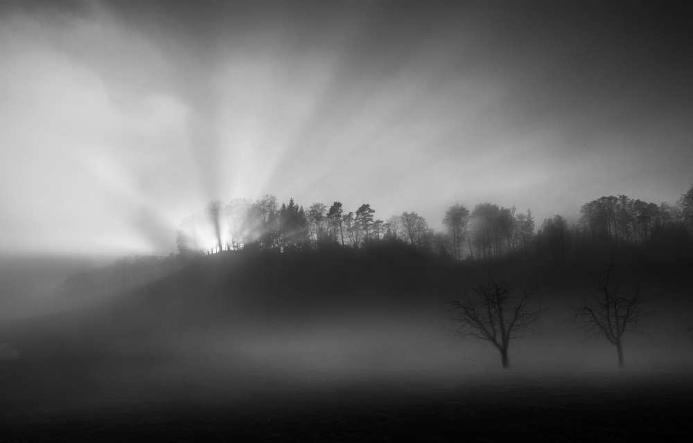 The sun in the fog van Nic Keller