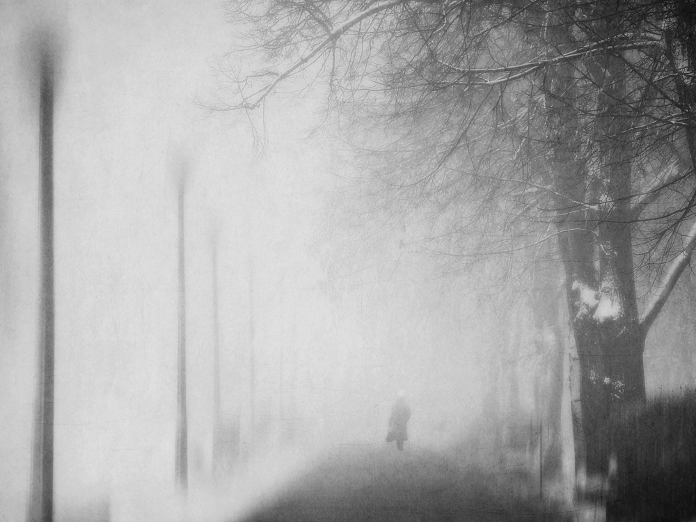 days of mist van nicoleta gabor