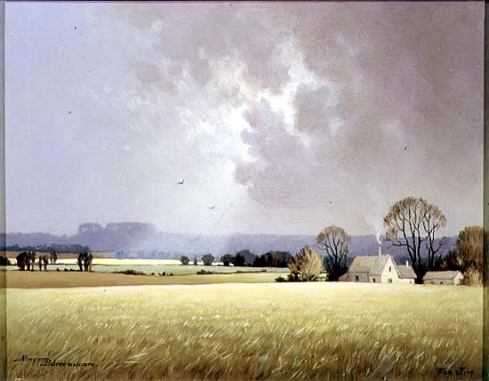 Autumn Sunlight, 1982 (oil on canvas)  van Ninetta  Butterworth