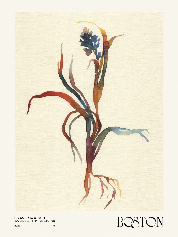 Watercolor print collection. Flower market - Boston van NKTN