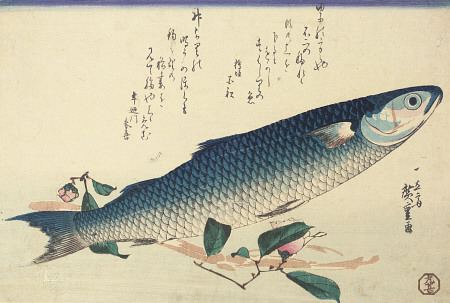 A Design From A Large Fish Series,  Signed Ichiryusai Hiroshige Ga,  Utagawa Hiroshige (1797-1858) O van 