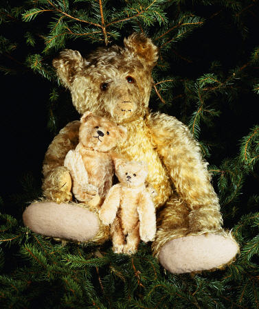 A Large Steiff Golden Curley Plush Covered Teddy Bear In A Christmas Tree With His "Inseparable Frie van 