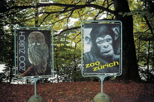 Animal signboards (photo)  van 