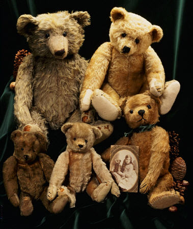A Selection Of Bing Teddy Bears , C van 