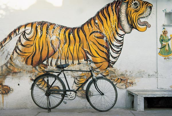 Bicycle at wall painting of tiger , Udaipur, Rajasthan, India (photo)  van 