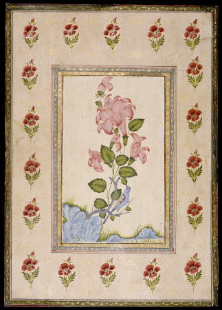 Bird And Flower Study, Mughal India van 