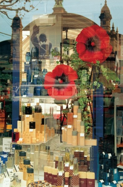 Central railway station reflected in perfumery shop front (photo)  van 