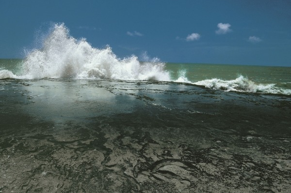 Chorwad known mainly for giant waves breaking against algae-covered rocks (photo)  van 