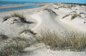 Coastal sand dunes, Kutch (photo) 