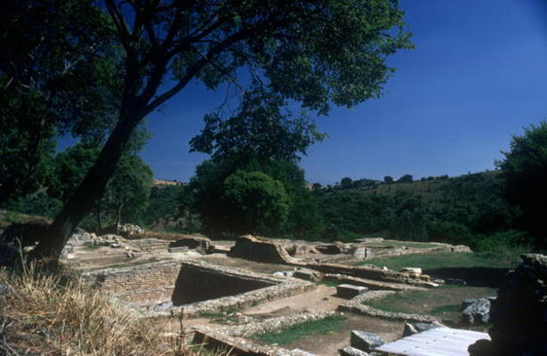 Excavations of the Roman-Etruscan Town (photo) van 