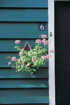 Flower-pot hung from peg on one of the door''s blue slats showing six number (photo) 