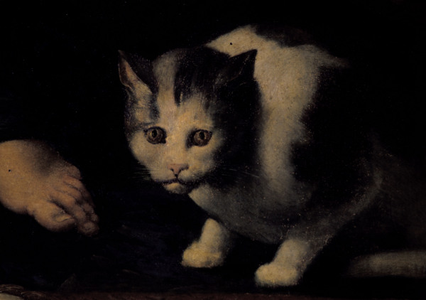 Giulio Romano / Cat / Painting van 