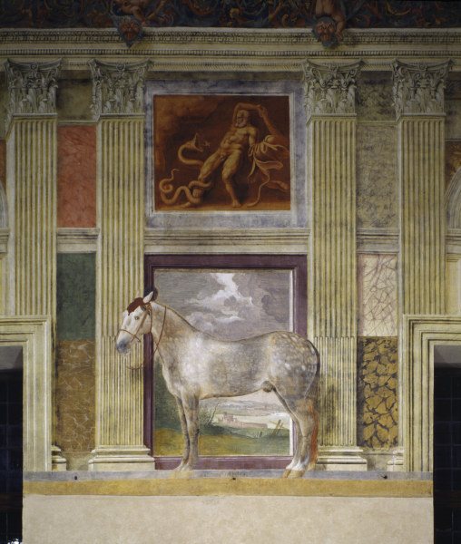 Giulio Romano, Pferd der Gonzaga van 