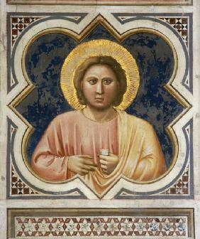 Giotto, Maennlicher Kopf / Padua