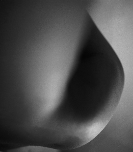 Human form abstract body part (b/w photo)  van 