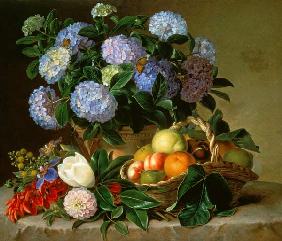 Hydrangea In An Urn And A Basket Of Fruit On A Ledge