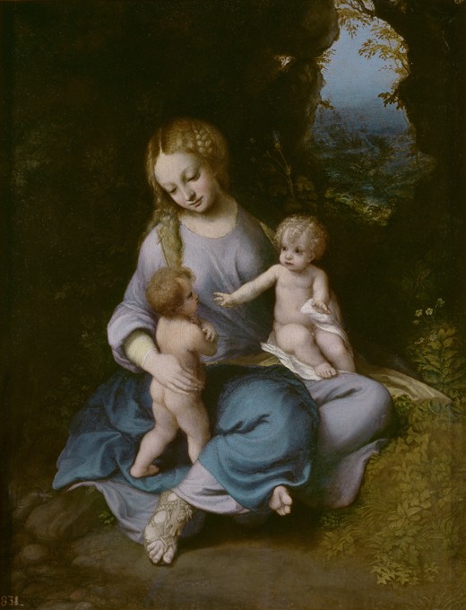 Virgin and child with John the Baptist as a Boy van 