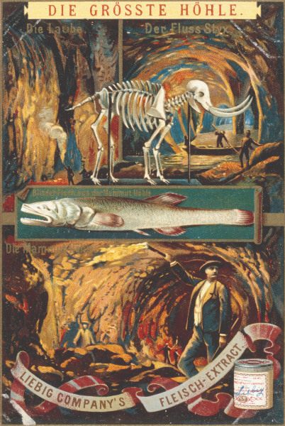 Mammoth Cave , Liebig Card van 