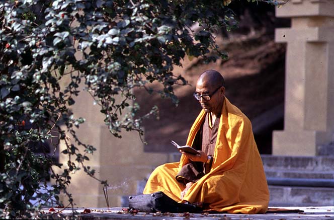 Monk at prayer at Bodhi Temple (photo)  van 