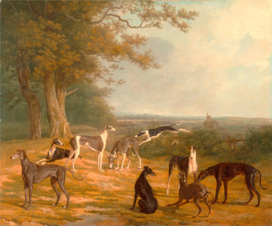 Nine Greyhounds in a Landscape Signed van 