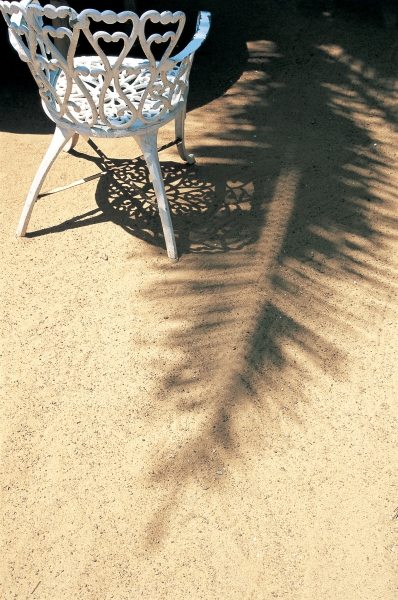 Shadow of coconut leaf straight below wrought-iron chair (photo)  van 