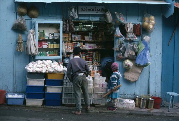 The grocer''s shop (photo)  van 
