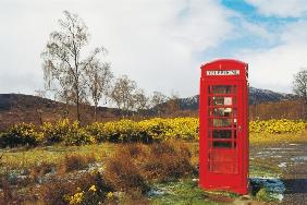 Telephone box in the Scottish wilderness (photo) 