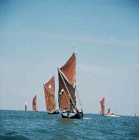 Thames Barge Race
