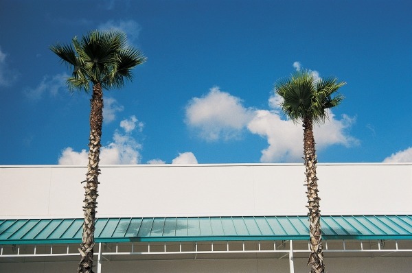Two straight palms and intersecting roof of shopping complex (photo)  van 
