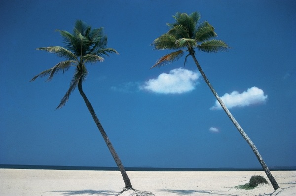 Typical beach of Goa (photo)  van 