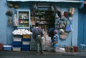 The grocer''s shop (photo) 
