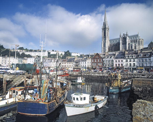 View of the harbour with St. Colemans Cathedral (photo)  van 