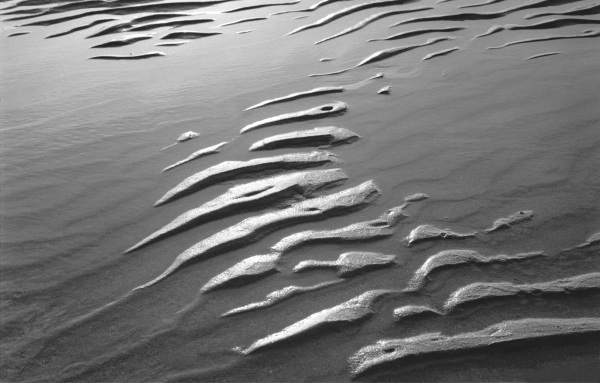 Wet sand, Porbandar (b/w photo)  van 