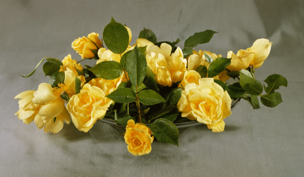 Yellow roses in a vase / Photo van 