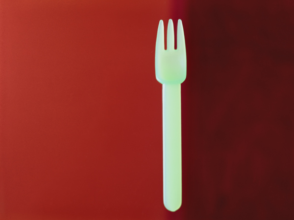 1 Fork (Rothko) 2001 (colour photo)  van Norman  Hollands