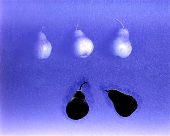 Blue Pears (after Wm. Scott) 2005 (colour photo)  van Norman  Hollands