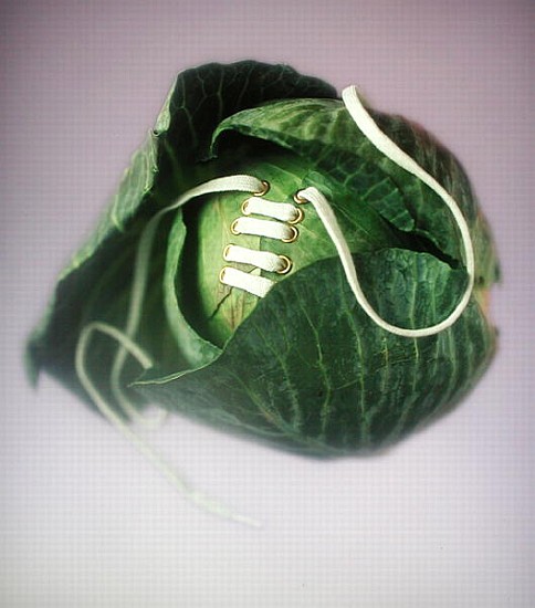 Cabbage with laces, 2000 (colour photo)  van Norman  Hollands