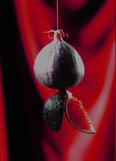 Fig on a string with segments, 2003 (colour photo)  van Norman  Hollands