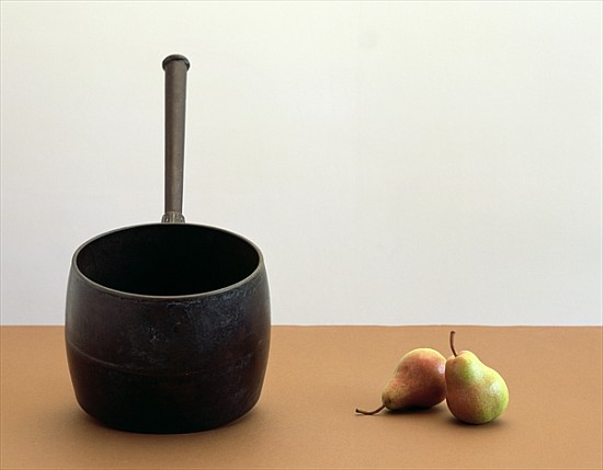 Pan & Two pears (after William Scott) 2005 (colour photo)  van Norman  Hollands