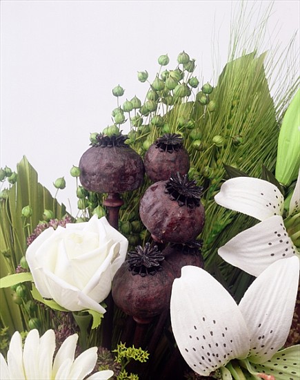 Seed pod Bouquet, 1999 (colour photo)  van Norman  Hollands
