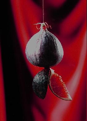 Fig on a string with segments, 2003 (colour photo) 
