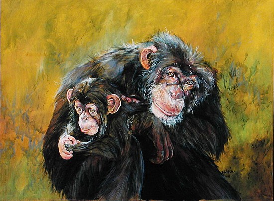 Chimpanzees (acrylic on canvas)  van Odile  Kidd
