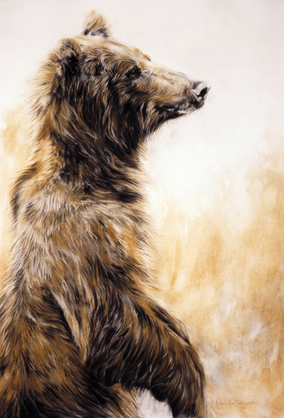 Grizzly Bear 2, 2002 (carbon pencil, charcoal & chalk)  van Odile  Kidd