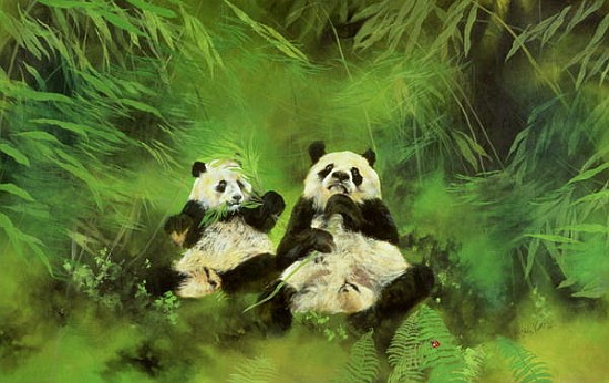 Pandas, 1998 (acrylic and pencil on canvas)  van Odile  Kidd
