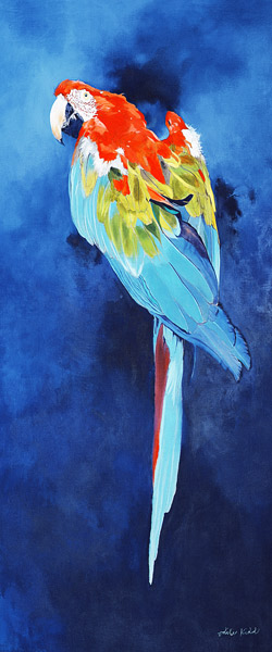Red and Blue Macaw, 2002 (acrylic on linen)  van Odile  Kidd