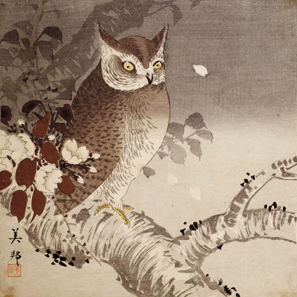 An owl on a tree branch, (colour woodblock print) van Ohara Shôson
