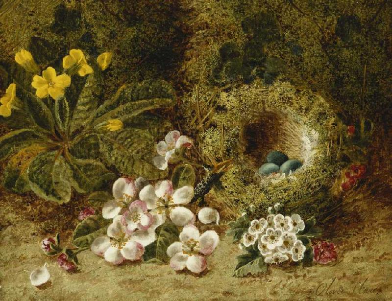 Apfelblüten, eine Primel und ein Vogelnest im Moos. van Oliver Clare